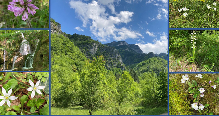 Служители на Регионалната инспекция по околната среда и водите –