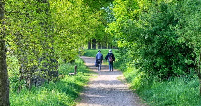 Нова формула предлагат от Обединените пенсионерски съюзи При сегашната убийствено ниска средна