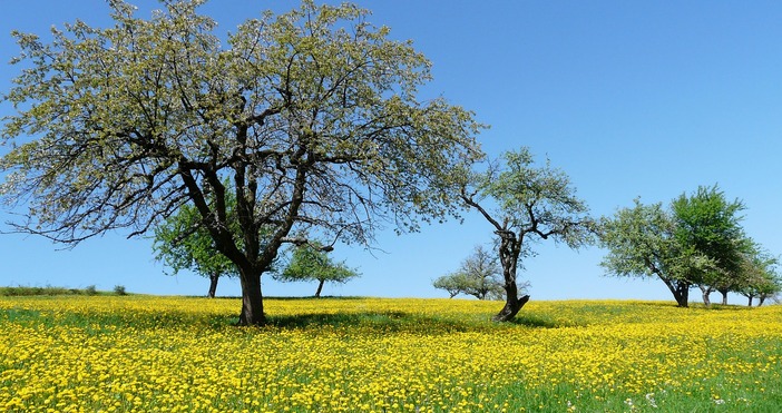 Днес преди обяд ще бъде предимно слънчево Около и след