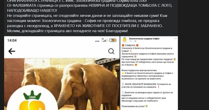 За фалшива фейсбук страница на Зоологическа градина София която