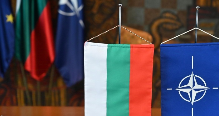 Говорителят на българската делегация в НАТО в Брюксел Весела Ацева