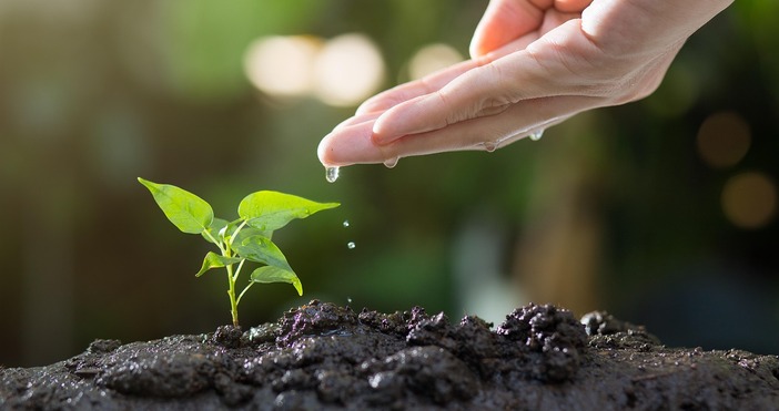 Революционно откритие ще удължи живота на плодовете и зеленчуците Учени