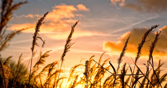 Днес над западните и централните райони ще бъде предимно слънчево