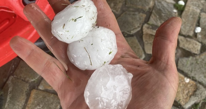 снимки Петел бгЗа градушка с размери на портокал в село в