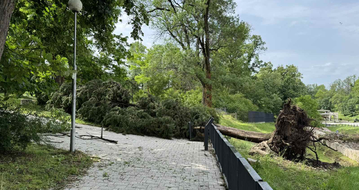 Снимки Община ХисаряОбщина Хисаря търси доброволци които да се включат