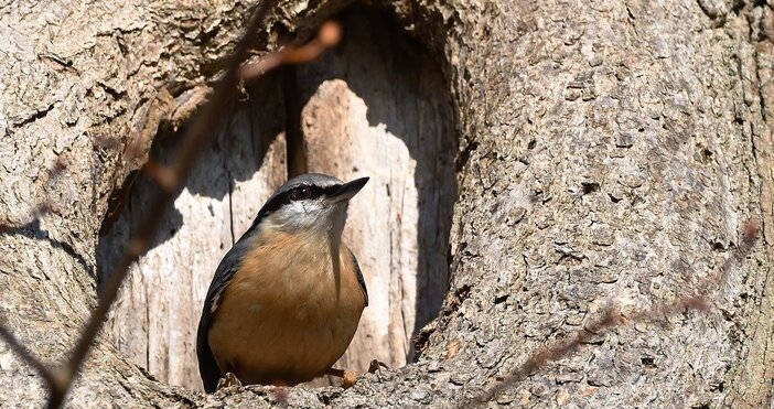 Дъждът който и в Кюстендилско не спира второ денонощие ще