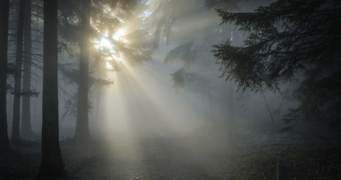 Гъста мъгла затруднява движението на прохода Петрохан алармират шофьори в