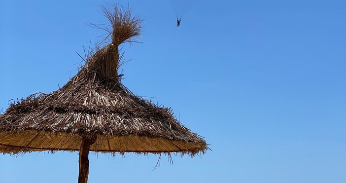 Петел бгСредно около 1000 1200 лева на човек може да ни излезе
