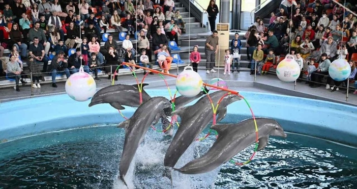 Децата ще влизат безплатно а цената на билет за възрастни