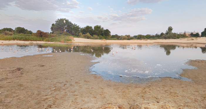 Млада англичанка на 25 години е подала сигнал в полицията в