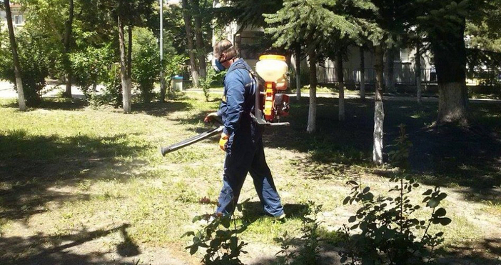 Общинското предприятие Дезинфекция дезинсекция дератизация обяви графика за обработване на