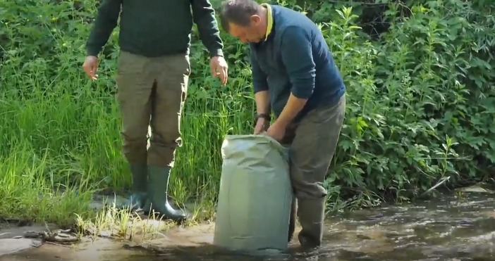 Мащабно зарибяване на реки в Югозападна България започнаха от Националното