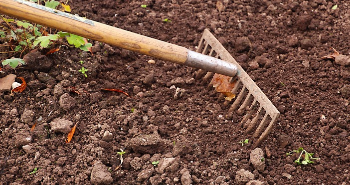 60 годишен мъж нападна с градинско гребло 64 годишната си приятелка в