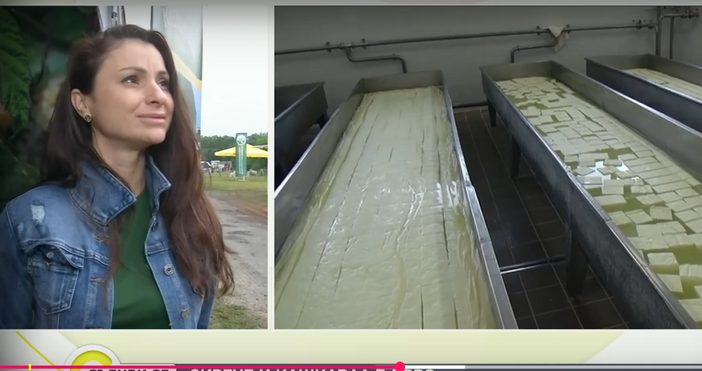 За 13 а поредна година овцевъди се събират край Лясковец за