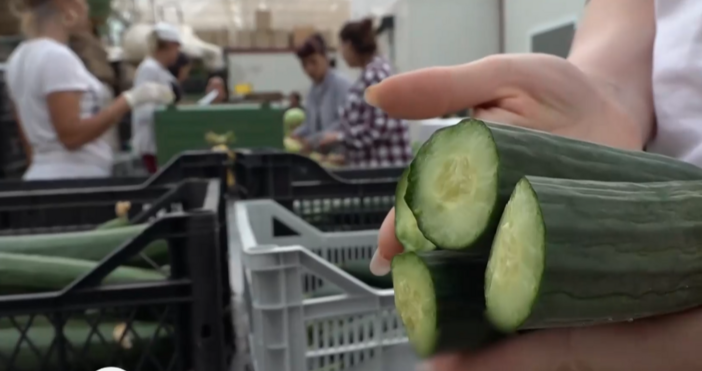 След унищожителните градушки които съсипаха реколтата на много земеделски стопани