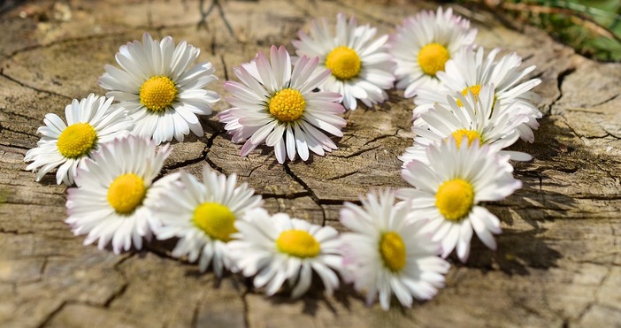 Ето хороскопа на Ламята ОвенДнес Вашите успехи в любовта ще бъдат