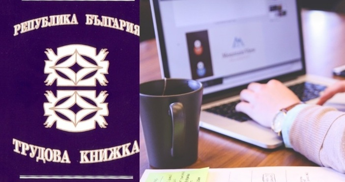 илюстрация От днес ще бъде достъпен електронният регистър на заетостта