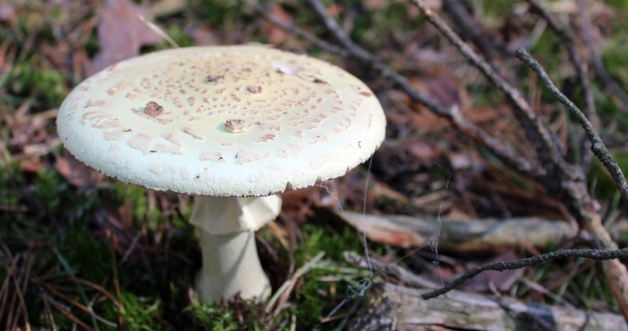 Австралийката Ерин Патърсън на 50 години се изправи пред съд