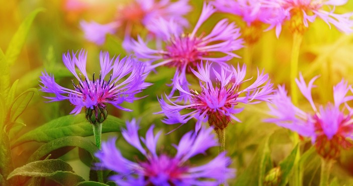 Турските власти предвиждат глоба от 557 000 турски лири 25