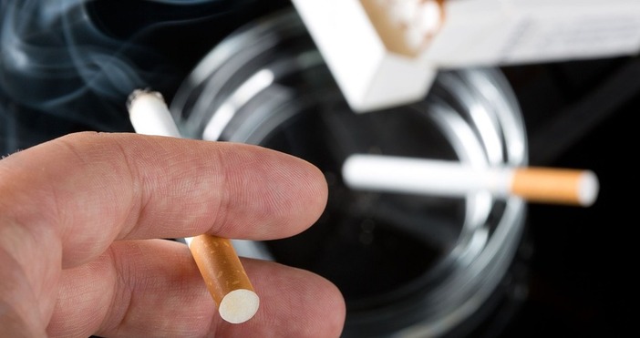 Франция планира да забрани пушенето по плажовете в парковете пред