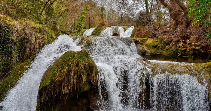 На 5 юни всяка година отбелязваме Световния ден на околната