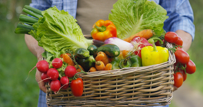 30 малки български производители ще представят продуктите си Шестият фермерски