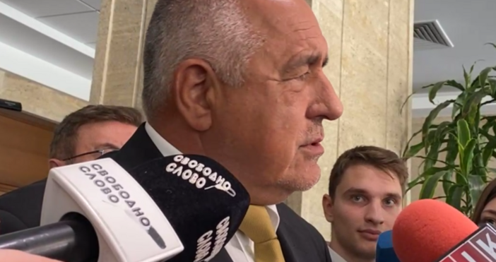 Бойко Борисов сравни действията на Продължаваме промяната срещу кабинета Желязков с