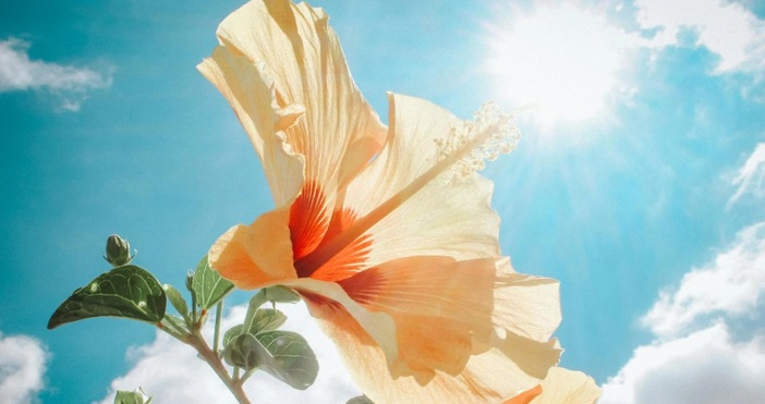 През нощта ще е предимно ясно и тихо съобщиха от