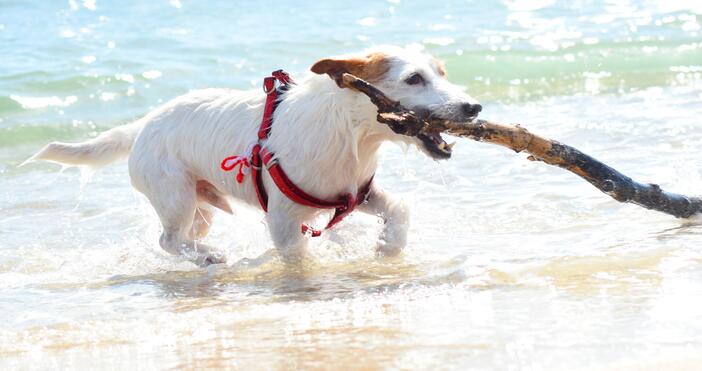 Внеделя ще бъде слънчево и горещо След обяд главно над планините