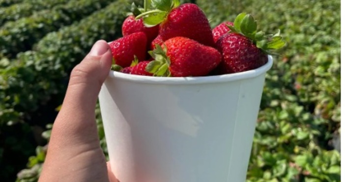 Министърът на труда и социалната политика Борислав Гуцанов ще представи