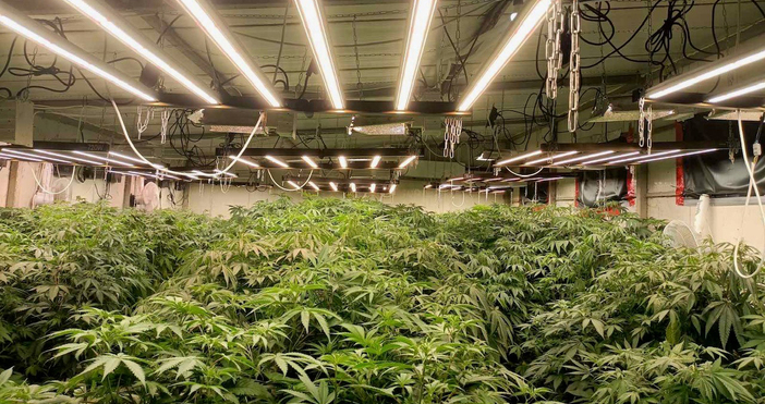 Трима криминално проявени мъже на възраст от 50 до 58