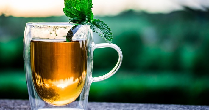 Производителите на комбуча от Русе споделят за изхвърлените 10 тона