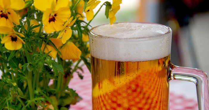 pixabayСветовното производство на бира е намаляло с 0 9 на сто