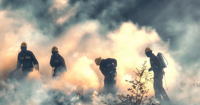Снимки През последните години горските пожари стават все по интензивни като