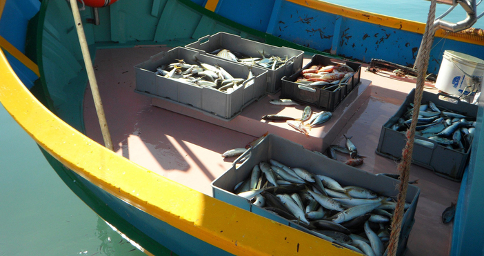 Полицията разследва незаконен риболов по река Дунав в района