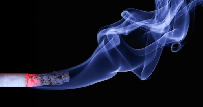 България заема първото място в Европейския съюз по дял на