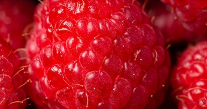 Кауфланд обяви срока на годност на малините ако ги държим