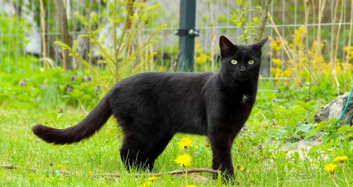 Кадри YoutubeДнес е петък 13 и дата която често