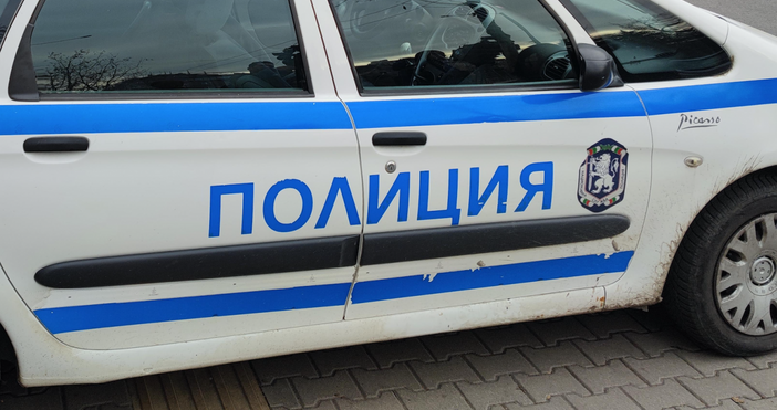 Десетгодишно дете е замеряло домашно куче с камъни в бургаския