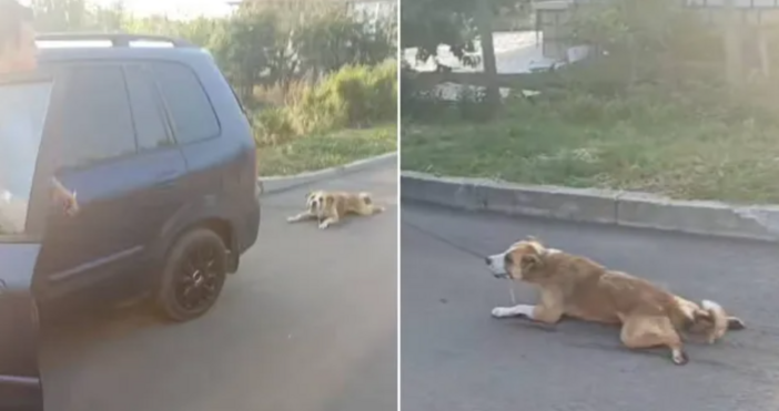 Представители на организациите Обединени за правата на животните и Ние