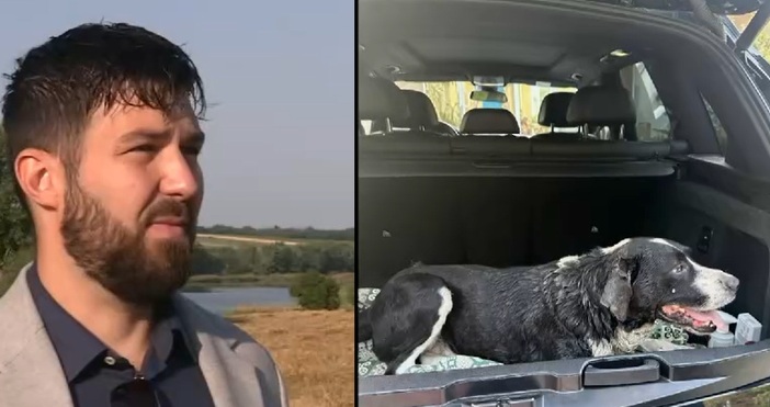 Мъж влачил куче вързано за колата му в продължение на