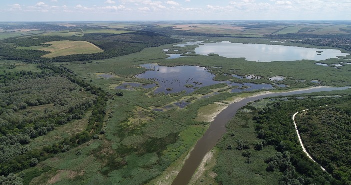 Заради продължителното маловодие високите температури ниските нива на река Дунав