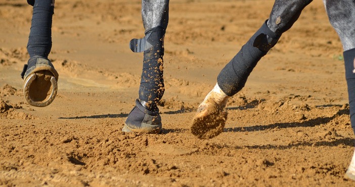 Ето хороскопа на ЛамятаОвенПрез този ден ще Ви измъчват доста