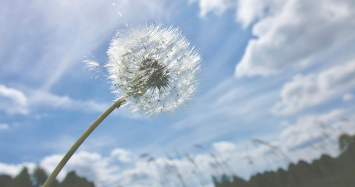 В петък ще е предимно слънчево Около и след обяд