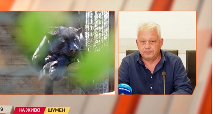 Търсенето на дивото животно в Шуменското плато продължава Нови мерки