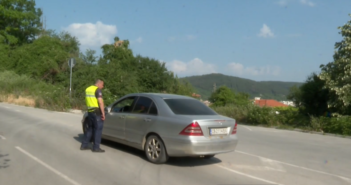 Продължава издирването на пантерата която вдигна на крак властите в Шумен