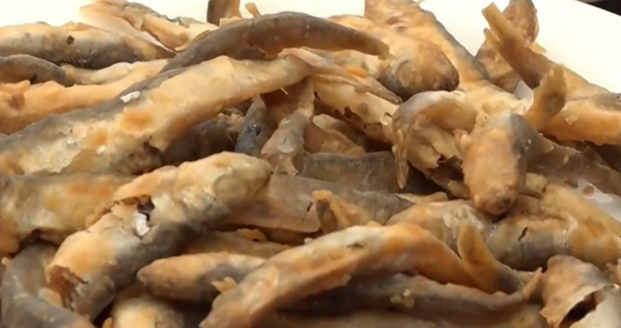 Летният сезон по Южното Черноморие вече започна но въпреки това