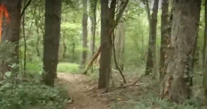 Издирването на черния леопард забелязан в района на Шуменското плато