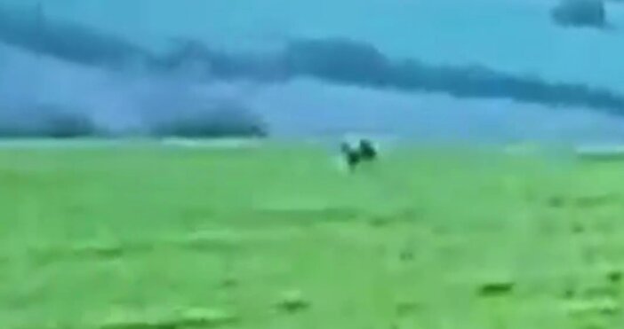 Големият черен хищник който повече от 48 часа се издирва