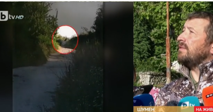 За съжаление съдбата на пантерата от Шуменското плато едва ли